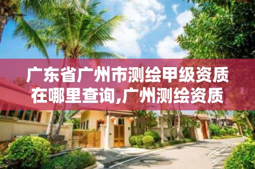 廣東省廣州市測繪甲級資質(zhì)在哪里查詢,廣州測繪資質(zhì)代辦