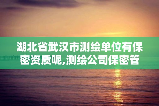 湖北省武漢市測繪單位有保密資質呢,測繪公司保密管理機構