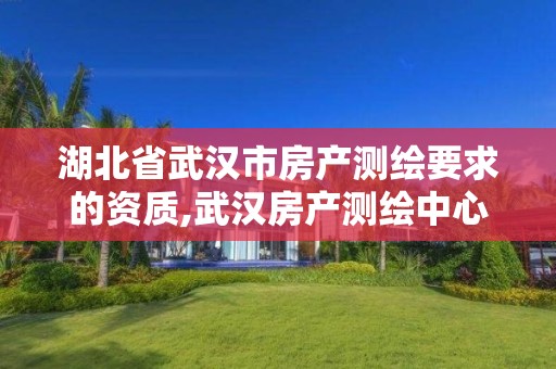 湖北省武漢市房產測繪要求的資質,武漢房產測繪中心主要做什么