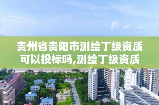 貴州省貴陽市測繪丁級資質可以投標嗎,測繪丁級資質承接范圍