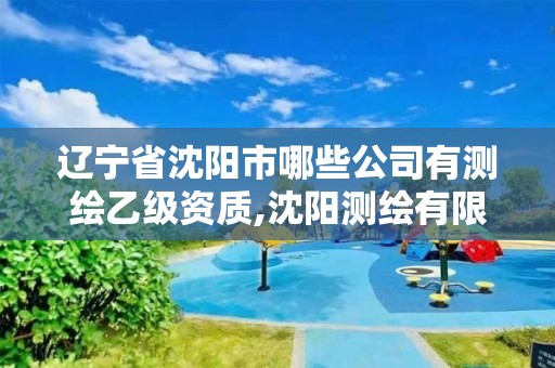 遼寧省沈陽市哪些公司有測繪乙級資質,沈陽測繪有限公司