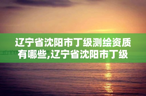 遼寧省沈陽市丁級測繪資質有哪些,遼寧省沈陽市丁級測繪資質有哪些單位