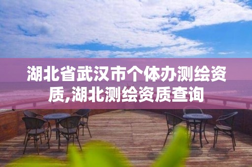 湖北省武漢市個體辦測繪資質,湖北測繪資質查詢