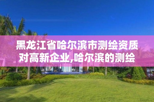 黑龍江省哈爾濱市測繪資質對高新企業,哈爾濱的測繪公司有哪些