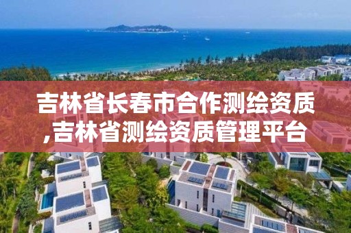 吉林省長春市合作測繪資質,吉林省測繪資質管理平臺