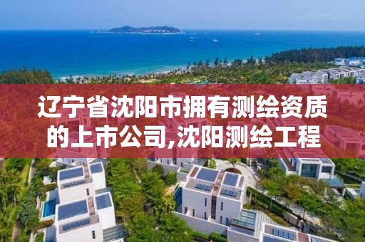 遼寧省沈陽市擁有測繪資質的上市公司,沈陽測繪工程。