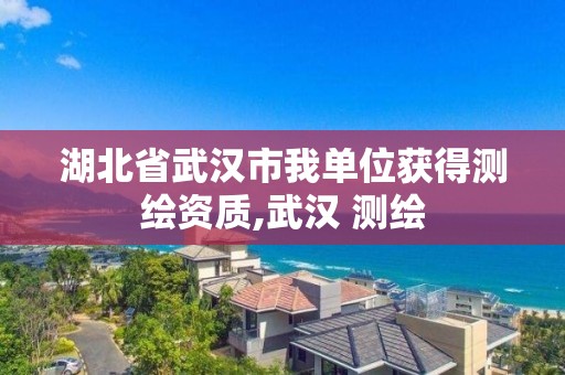 湖北省武漢市我單位獲得測繪資質,武漢 測繪