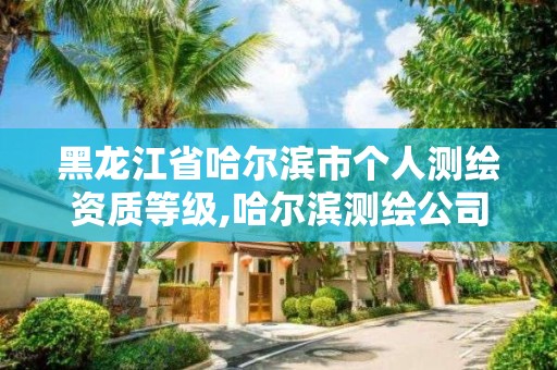 黑龍江省哈爾濱市個人測繪資質等級,哈爾濱測繪公司有哪些