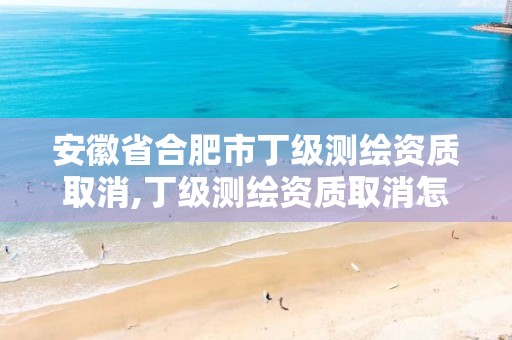 安徽省合肥市丁級(jí)測(cè)繪資質(zhì)取消,丁級(jí)測(cè)繪資質(zhì)取消怎么辦。