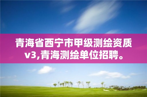 青海省西寧市甲級測繪資質v3,青海測繪單位招聘。