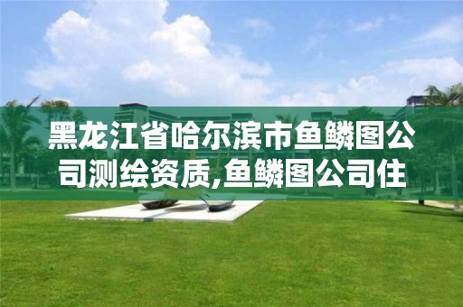 黑龍江省哈爾濱市魚鱗圖公司測繪資質,魚鱗圖公司住宿