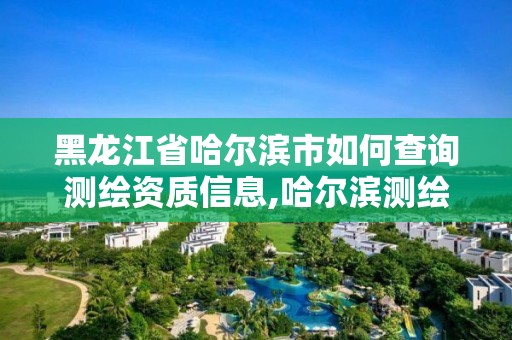 黑龍江省哈爾濱市如何查詢測繪資質信息,哈爾濱測繪招聘信息