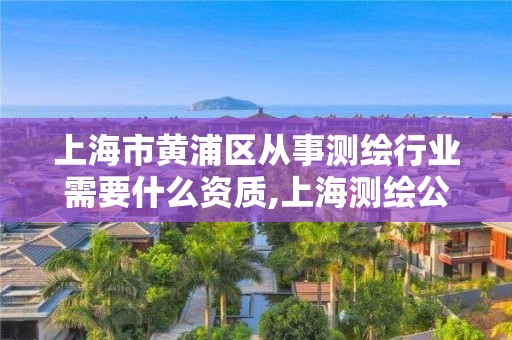 上海市黃浦區從事測繪行業需要什么資質,上海測繪公司多嗎。