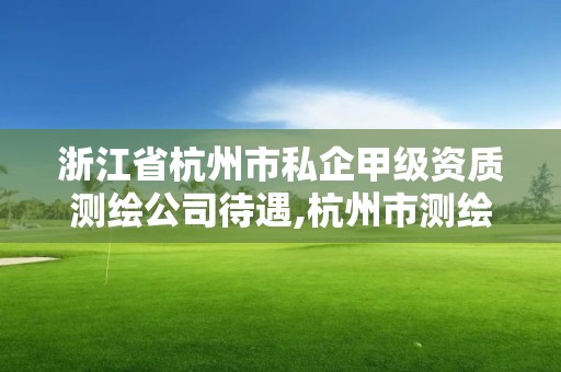 浙江省杭州市私企甲級資質(zhì)測繪公司待遇,杭州市測繪比較不錯的公司。