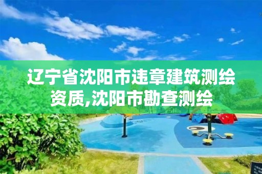 遼寧省沈陽(yáng)市違章建筑測(cè)繪資質(zhì),沈陽(yáng)市勘查測(cè)繪