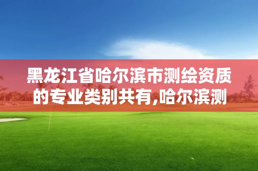 黑龍江省哈爾濱市測(cè)繪資質(zhì)的專業(yè)類別共有,哈爾濱測(cè)繪內(nèi)業(yè)招聘信息。