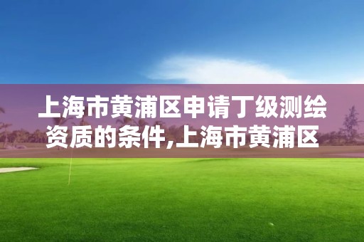 上海市黃浦區申請丁級測繪資質的條件,上海市黃浦區測繪中心