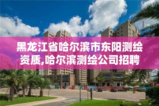 黑龍江省哈爾濱市東陽測繪資質,哈爾濱測繪公司招聘