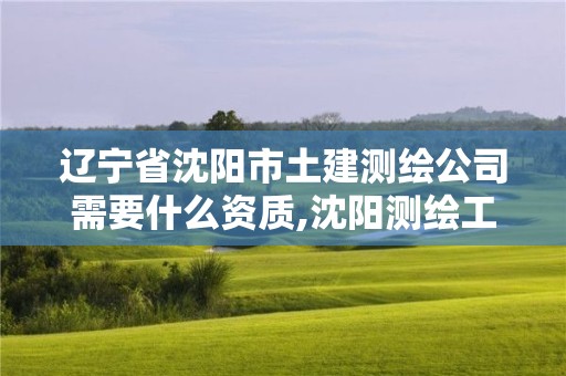 遼寧省沈陽市土建測繪公司需要什么資質,沈陽測繪工資。