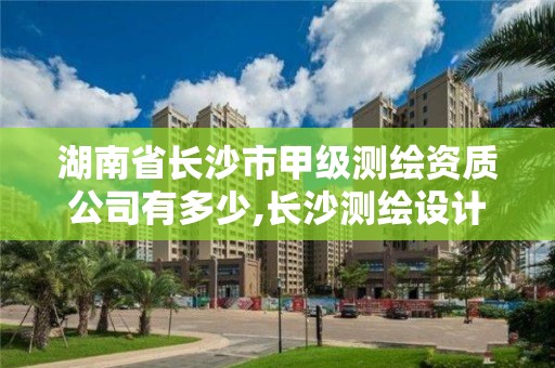 湖南省長沙市甲級測繪資質(zhì)公司有多少,長沙測繪設(shè)計院。