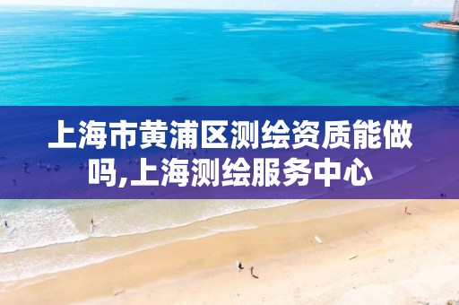 上海市黃浦區測繪資質能做嗎,上海測繪服務中心