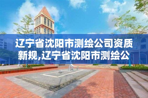 遼寧省沈陽市測繪公司資質新規,遼寧省沈陽市測繪公司資質新規有哪些