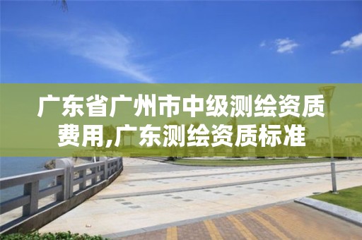 廣東省廣州市中級測繪資質(zhì)費用,廣東測繪資質(zhì)標準