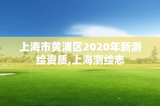 上海市黃浦區2020年新測繪資質,上海測繪志