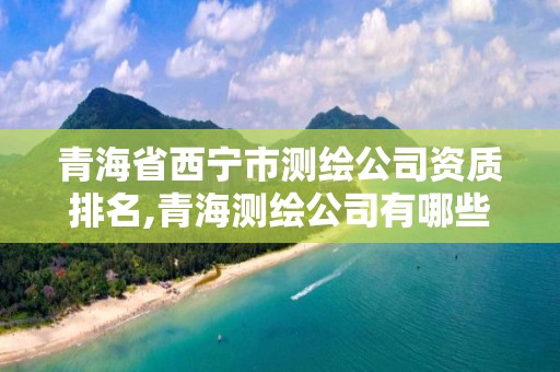 青海省西寧市測繪公司資質排名,青海測繪公司有哪些