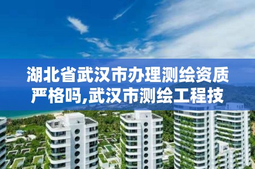 湖北省武漢市辦理測繪資質嚴格嗎,武漢市測繪工程技術規定