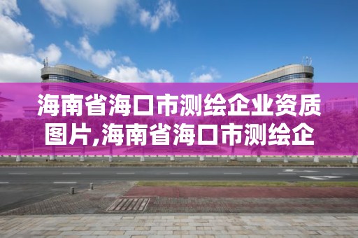 海南省海口市測繪企業(yè)資質圖片,海南省海口市測繪企業(yè)資質圖片及名稱