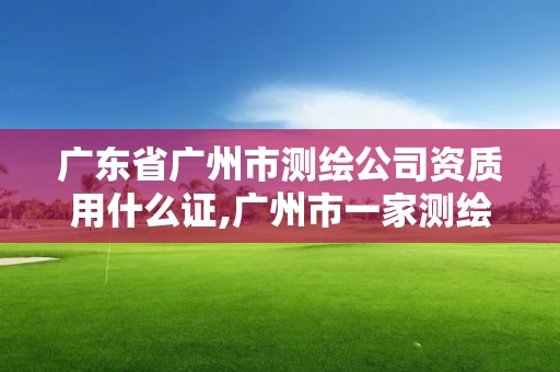 廣東省廣州市測繪公司資質用什么證,廣州市一家測繪資質單位