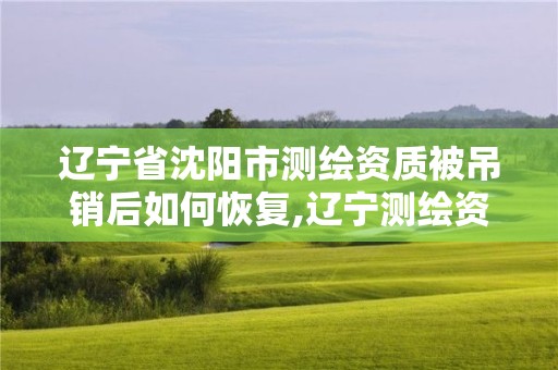 遼寧省沈陽(yáng)市測(cè)繪資質(zhì)被吊銷后如何恢復(fù),遼寧測(cè)繪資質(zhì)查詢。