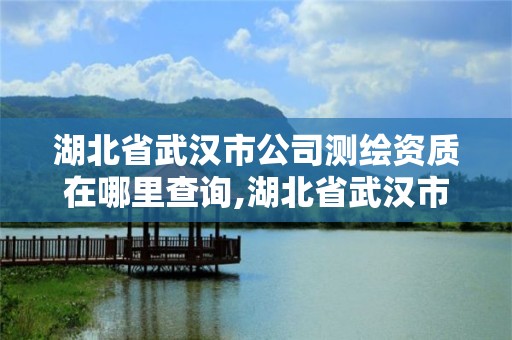 湖北省武漢市公司測繪資質(zhì)在哪里查詢,湖北省武漢市公司測繪資質(zhì)在哪里查詢的。