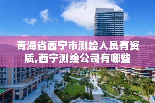 青海省西寧市測繪人員有資質,西寧測繪公司有哪些