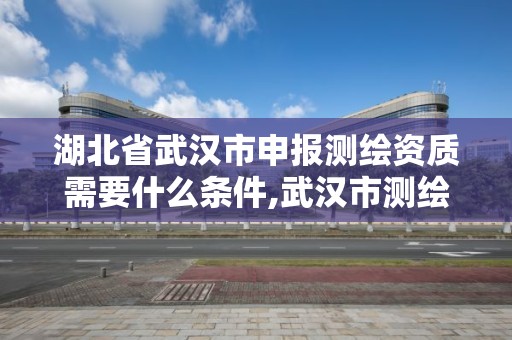 湖北省武漢市申報測繪資質(zhì)需要什么條件,武漢市測繪管理條例。