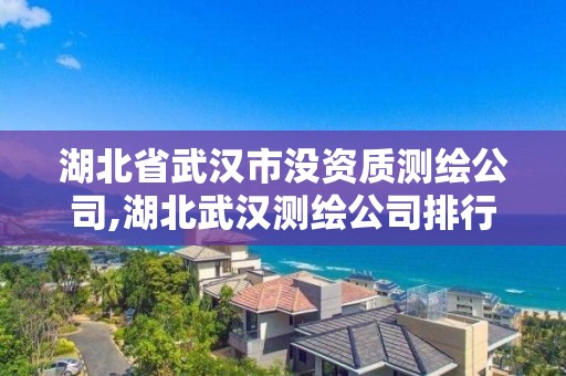 湖北省武漢市沒資質測繪公司,湖北武漢測繪公司排行榜