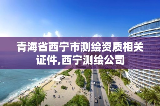 青海省西寧市測繪資質相關證件,西寧測繪公司