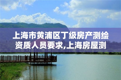 上海市黃浦區丁級房產測繪資質人員要求,上海房屋測繪收費標準