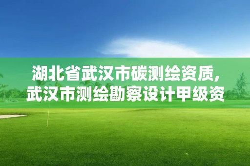 湖北省武漢市碳測繪資質,武漢市測繪勘察設計甲級資質公司