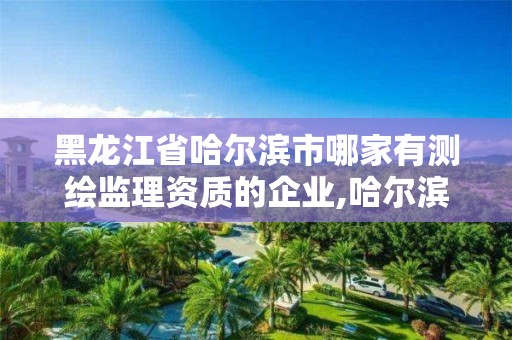 黑龍江省哈爾濱市哪家有測繪監理資質的企業,哈爾濱測繪專科學校。