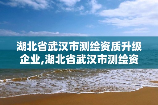 湖北省武漢市測繪資質升級企業,湖北省武漢市測繪資質升級企業名單