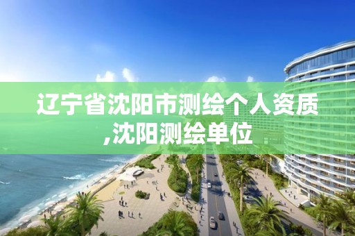 遼寧省沈陽市測繪個(gè)人資質(zhì),沈陽測繪單位