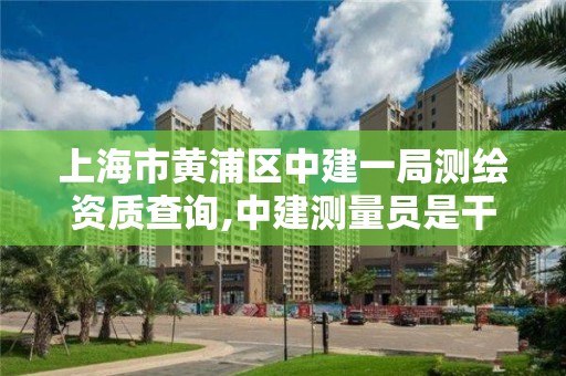 上海市黃浦區中建一局測繪資質查詢,中建測量員是干什么的。