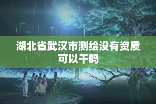 湖北省武漢市測繪沒有資質(zhì)可以干嗎