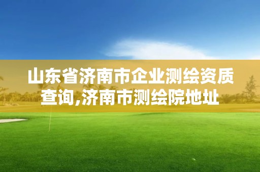 山東省濟(jì)南市企業(yè)測繪資質(zhì)查詢,濟(jì)南市測繪院地址