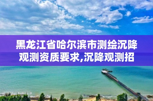 黑龍江省哈爾濱市測繪沉降觀測資質(zhì)要求,沉降觀測招標(biāo)