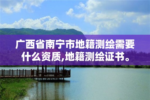 廣西省南寧市地籍測繪需要什么資質,地籍測繪證書。