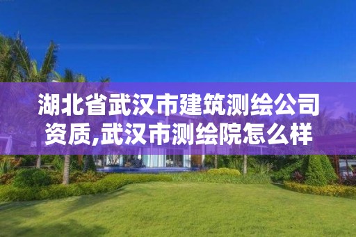 湖北省武漢市建筑測繪公司資質,武漢市測繪院怎么樣