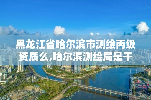 黑龍江省哈爾濱市測繪丙級資質么,哈爾濱測繪局是干什么的